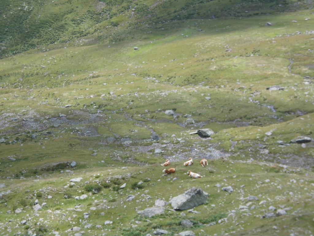 شقة Obergarberhof سيليان الغرفة الصورة